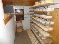 01cheese1.JPG