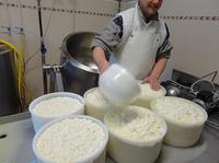01cheese2.JPG